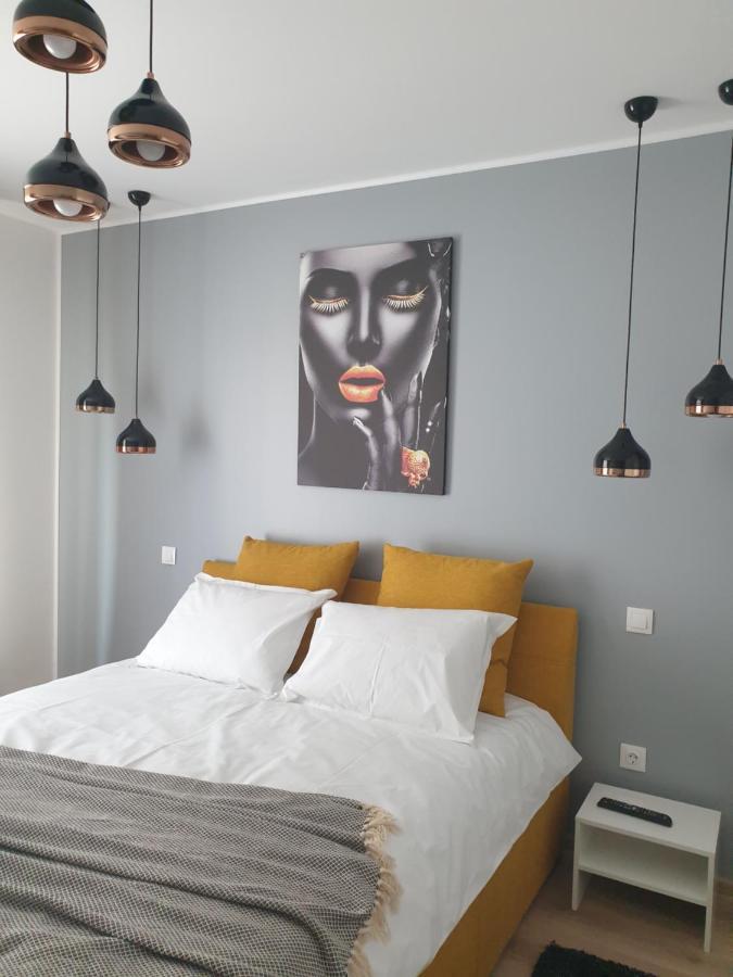 Qualis Apartament Brasov Bagian luar foto